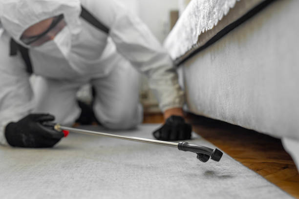 Professional Bed Bug Control technician working in Stokes County County, NC
